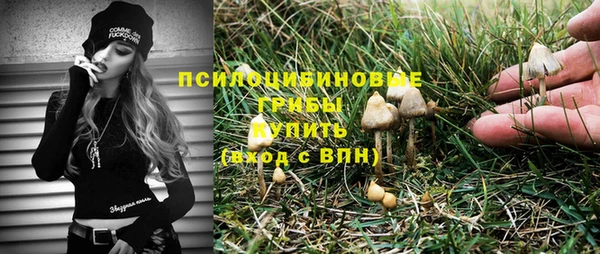 спиды Михайловка