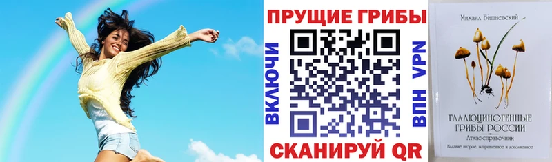 Псилоцибиновые грибы прущие грибы  купить закладку  блэк спрут зеркало  Реж 